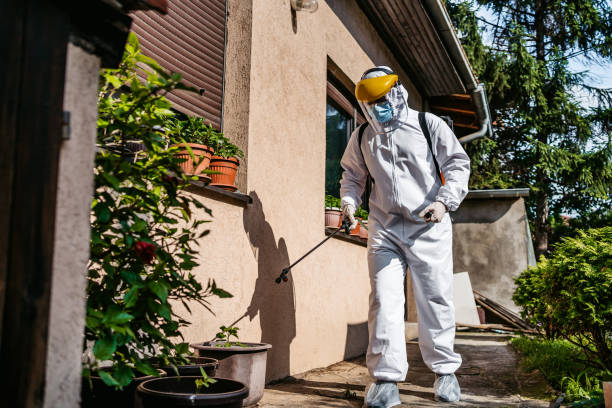 Best Affordable Pest Control Services  in Combe, LA