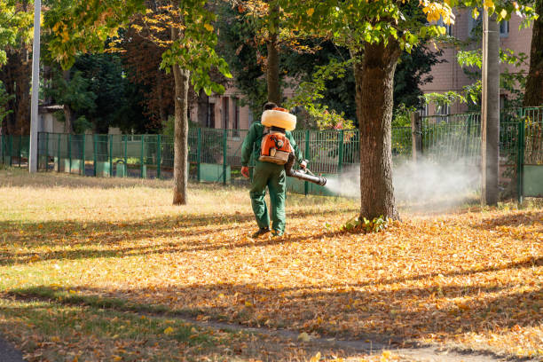 Best Wildlife Control Services  in Combe, LA