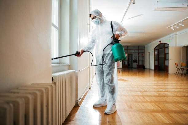 Wasp Removal Services in Lacombe, LA